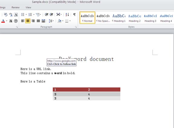 Word Document